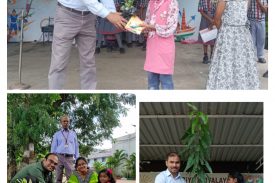 innovative practices-Plant donation on birthdays