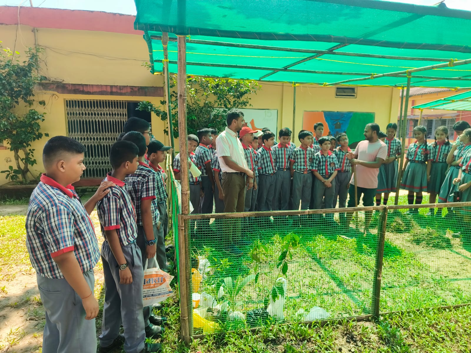 DRIP IRRIGATION