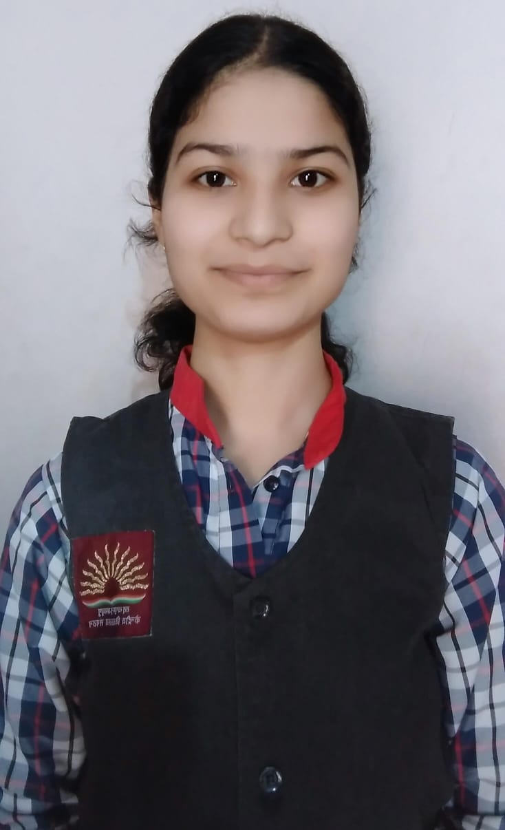 भूमिका