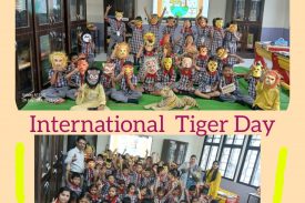 international tiger day