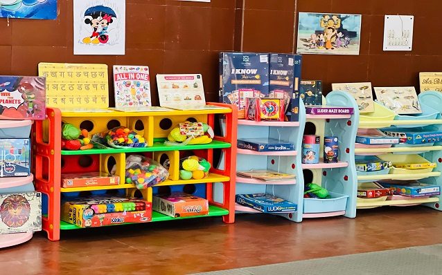 TOY LIBRARY SHELF