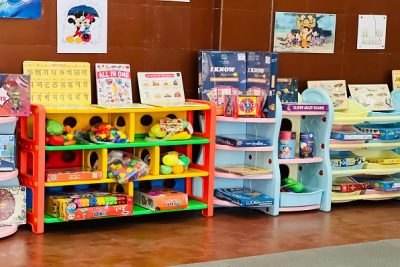 TOY LIBRARY SHELF