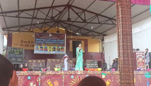 कला उत्सव