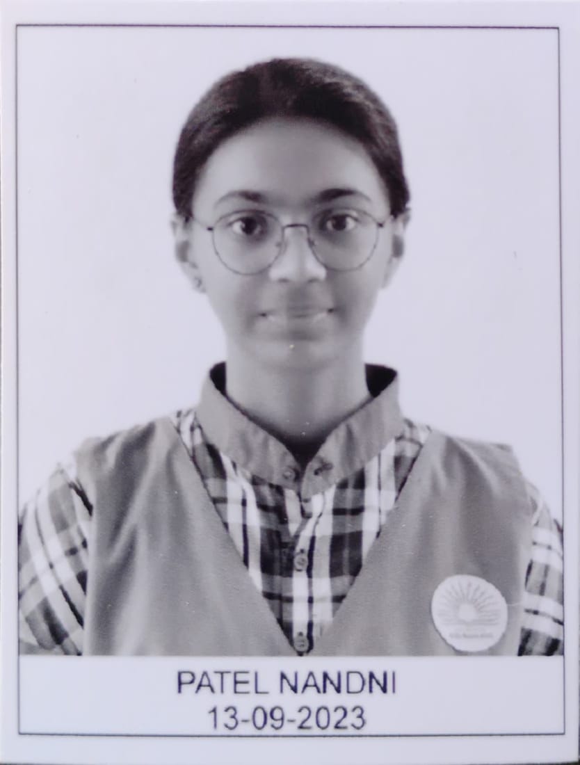 पटेल नंदिनी 