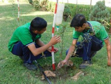 DRIP IRRIGATION