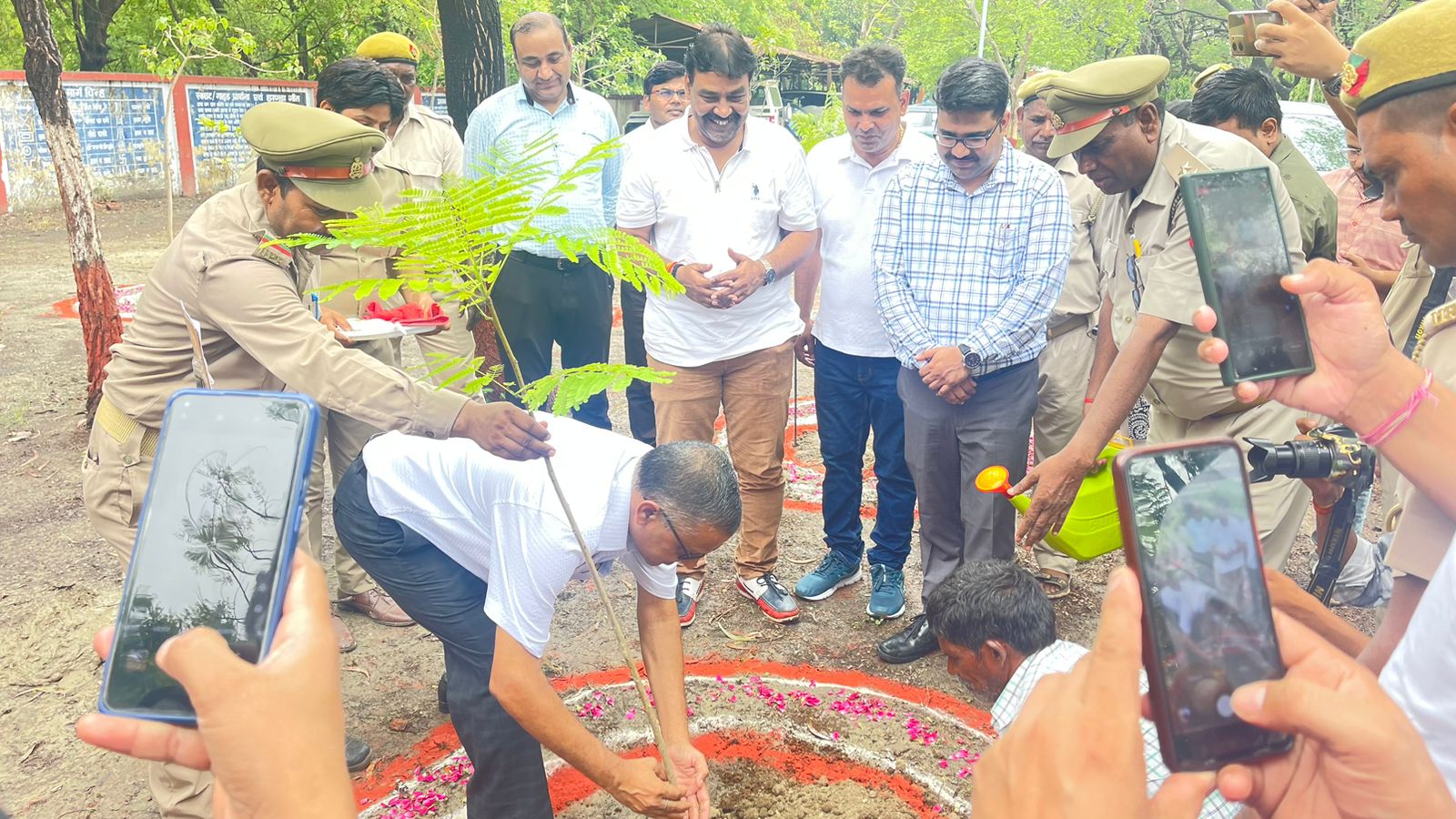 एक पेड़ मां का नाम