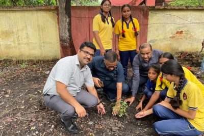 Tree plantation