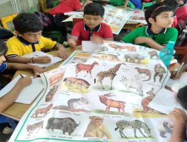 NIPUN BASED ACTIVITY