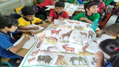 NIPUN BASED ACTIVITY