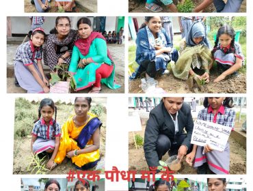 Van Mahotsav