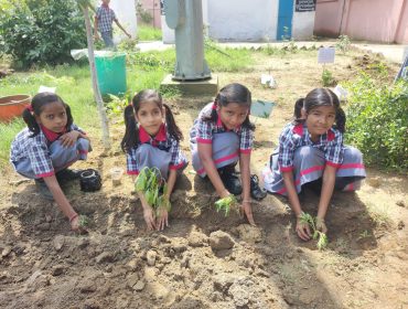 Van Mahotsav