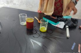 SCIENCE LAB ACTIVITY