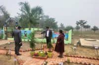 kitchen Garden