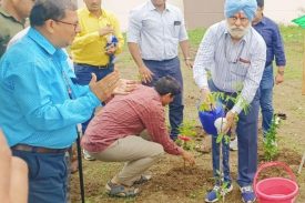 Community Participation in Plantation Drive