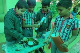 Vidyalaya Level Science Exhibition