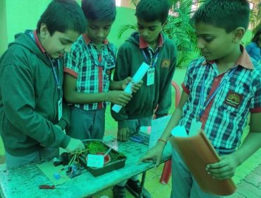 Vidyalaya Level Science Exhibition