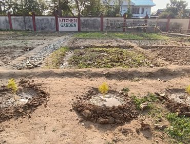 KITCHEN GARDEN