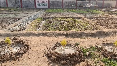 KITCHEN GARDEN