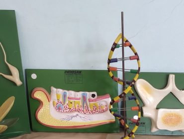 Biology Laboratory one