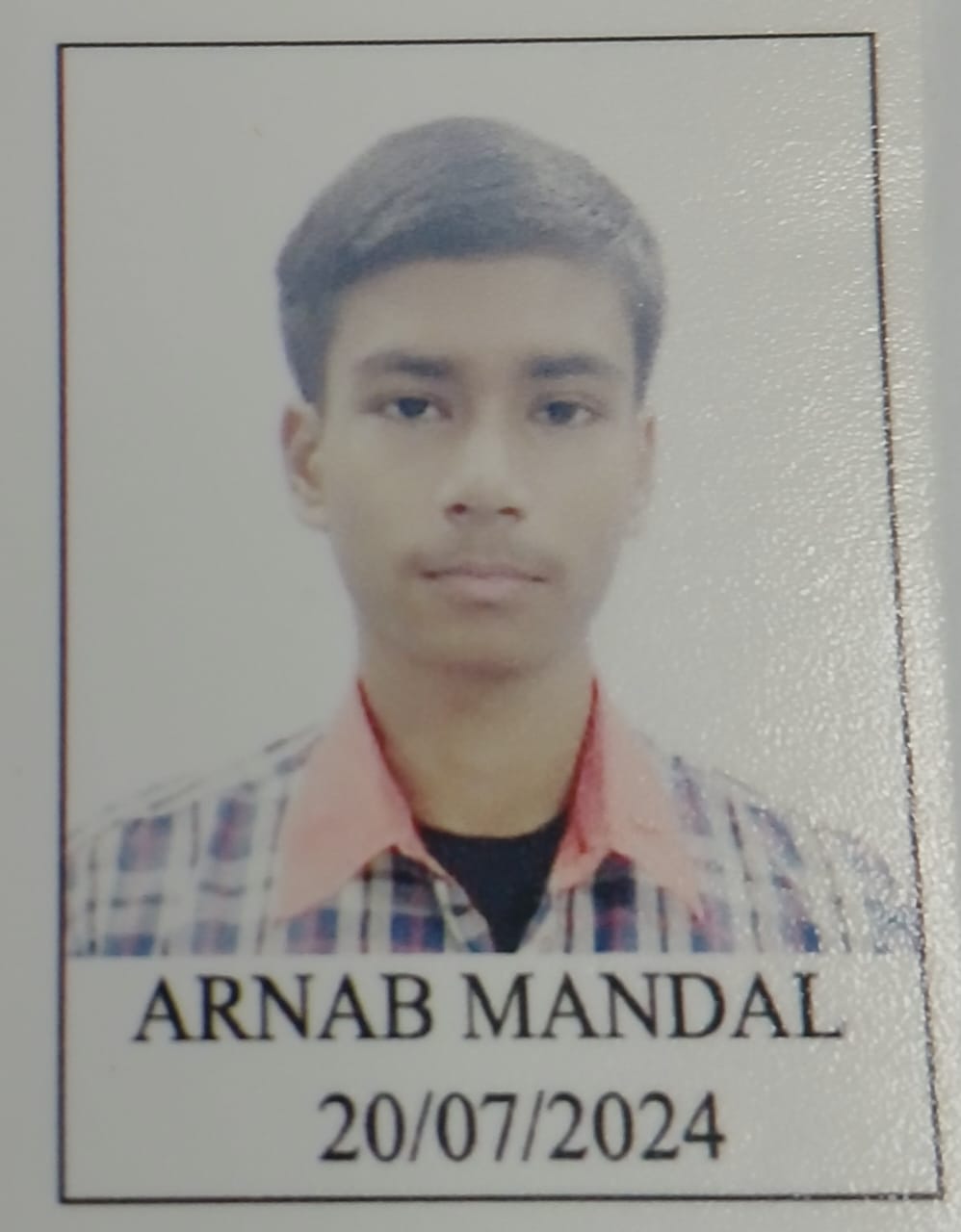 ARNAB MANDEL