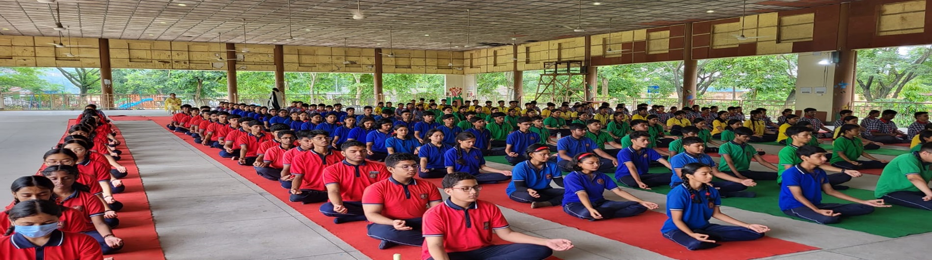 International Yoga Day