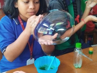 stem activity