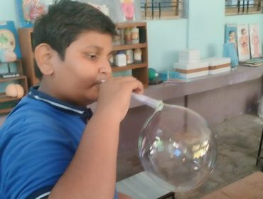 stem activity