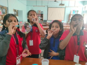 stem activity