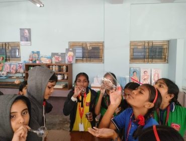 stem activity