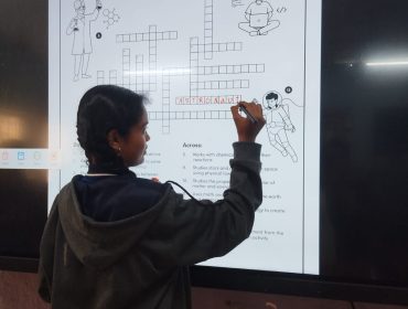 stem activity