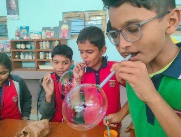 stem activity