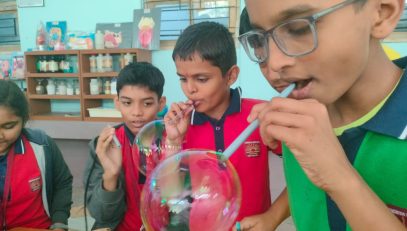 stem activity