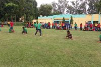 Kho Kho