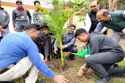 PLANTATION DRIVE