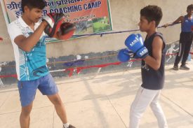 summer Coaching Boxing