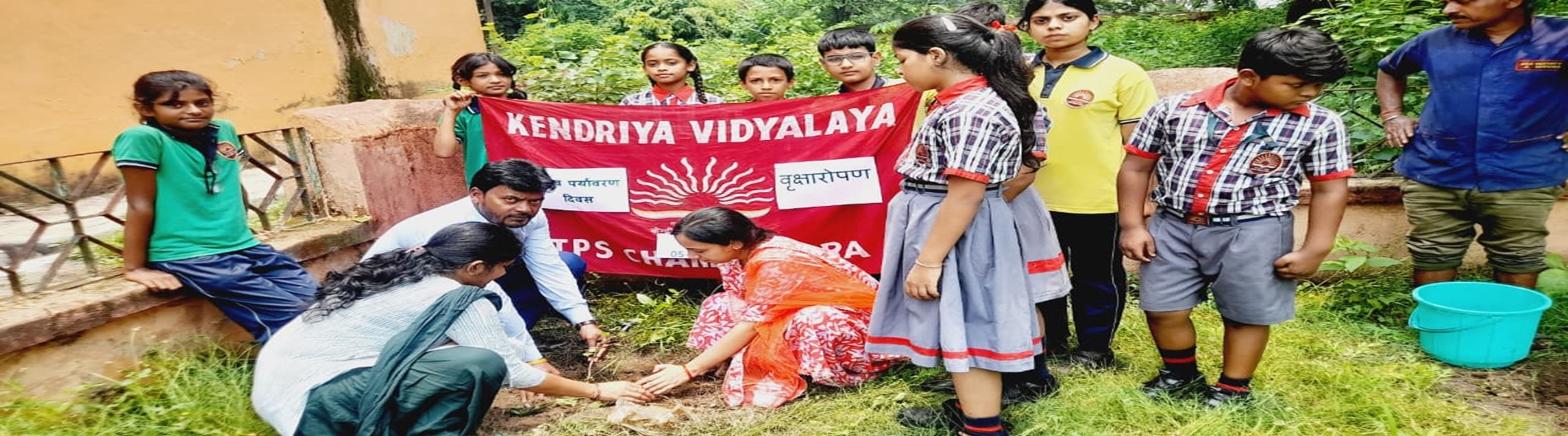 वृक्षारोपण