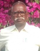 pacchu da