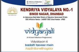 vidyanjali