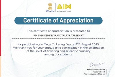 Mega Tinkering Day 2025 Certificate