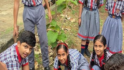 Commencement of Van Mahotsav (4)