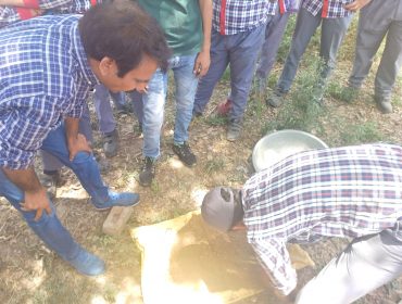Soil Health Testing 4