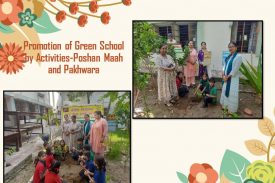 green school activities