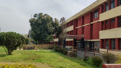 Area Covering Grass