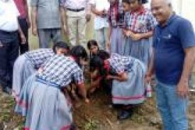 सामाजिक सहभागिता