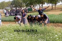 Visit To CAZRI