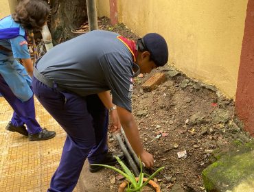 स्वच्छता पखवाड़ा