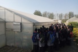 शिक्षा भ्रमण