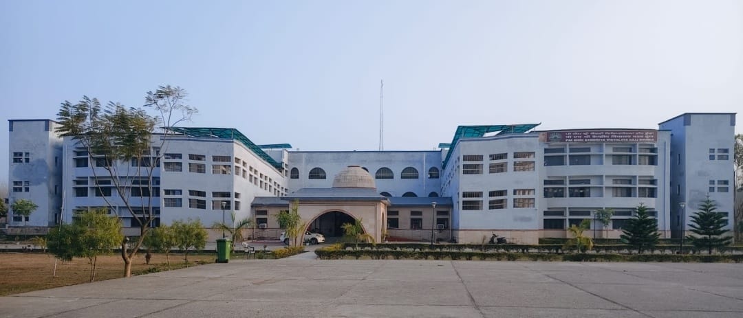 School