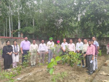 ECO CLUB