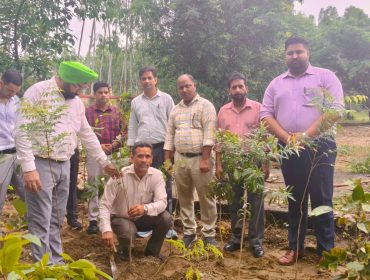 ECO CLUB
